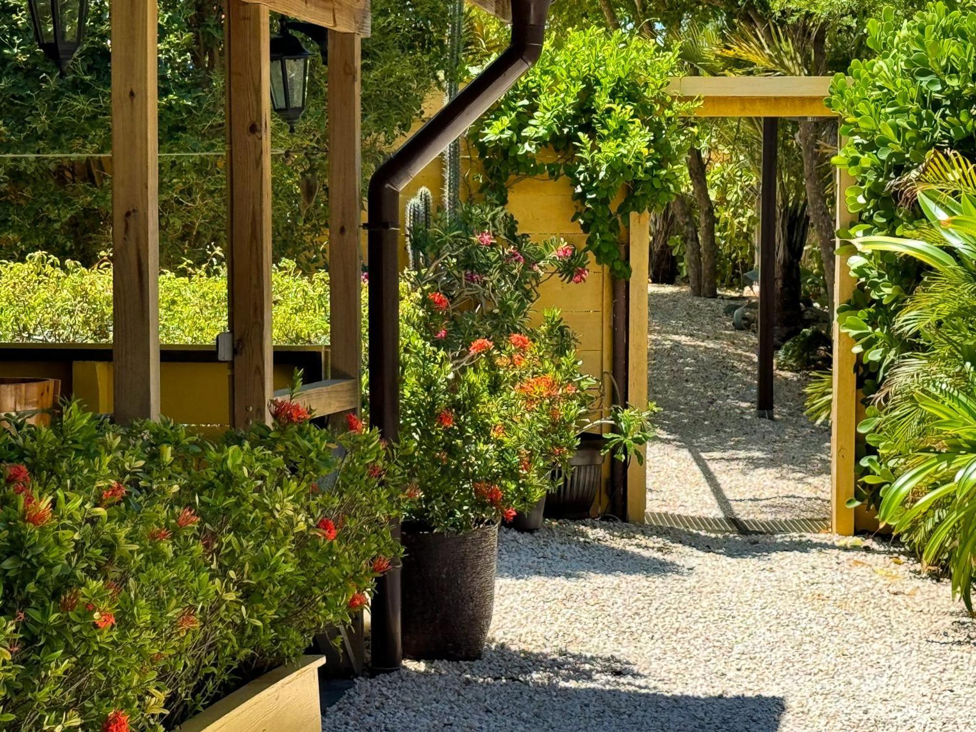 Jan Kok Lodges Willibrordus Exterior foto